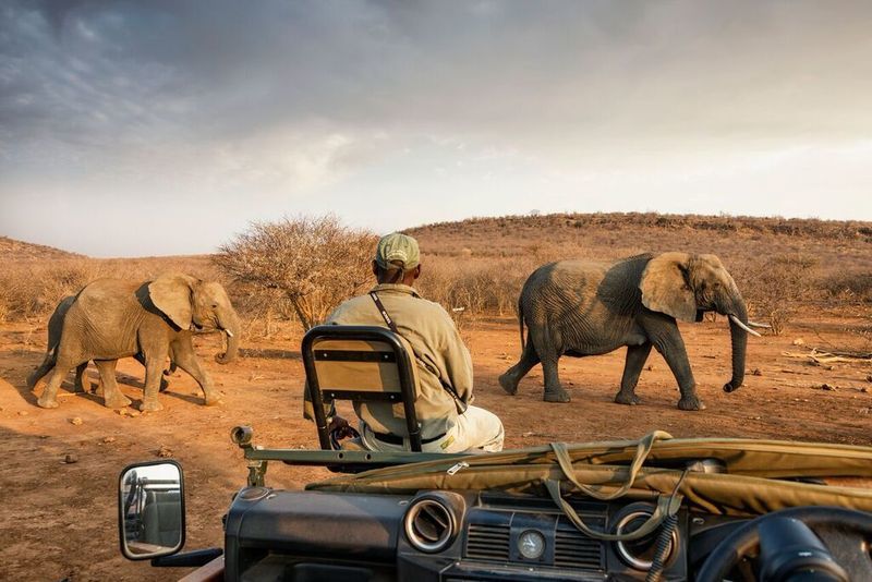Impodimo Game Lodge Madikwe Game Reserve Esterno foto